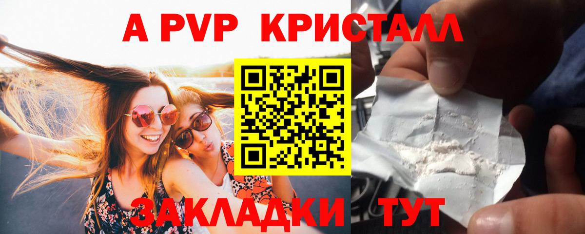 A PVP СК Новоалтайск
