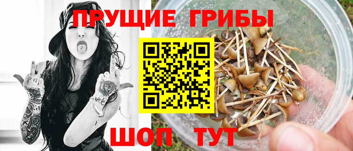 Галлюциногенные грибы мухоморы Новоалтайск