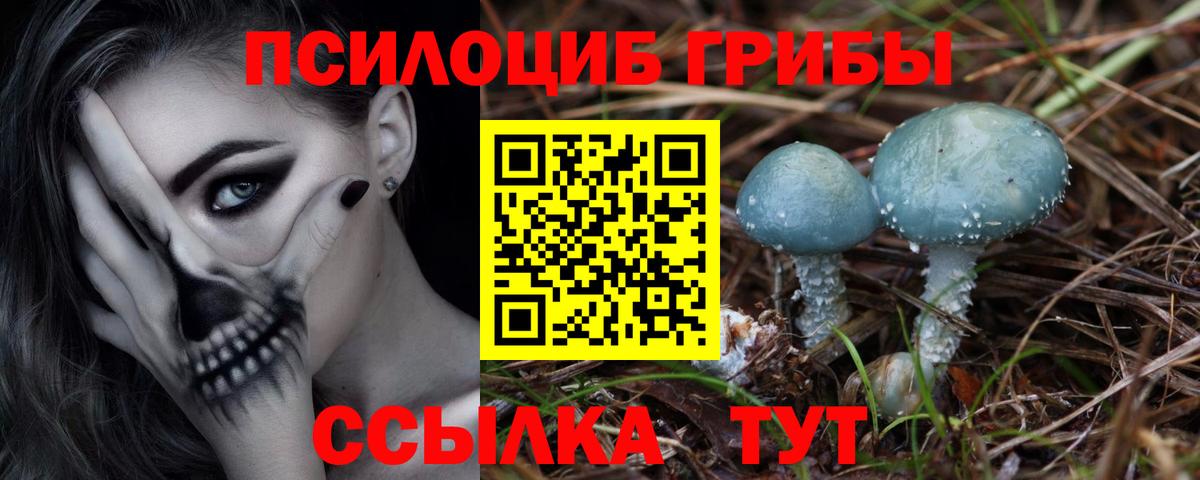 Псилоцибиновые грибы Psilocybe  Вход с VPN  Псилоцибиновые грибы Psilocybine cubensis  Новоалтайск 